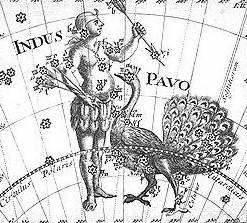 Pavo and Indus