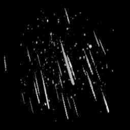 Perseid meteorite shower