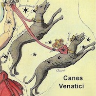 Canes Venatici